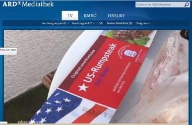 Plusminus TTIP 20.5.15